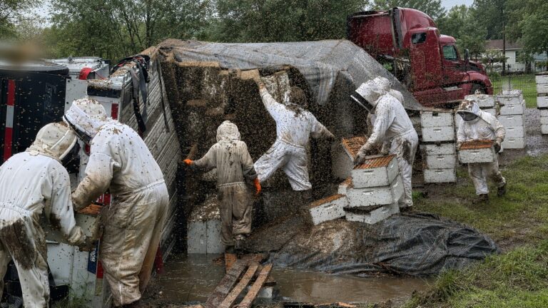 incidente api texas