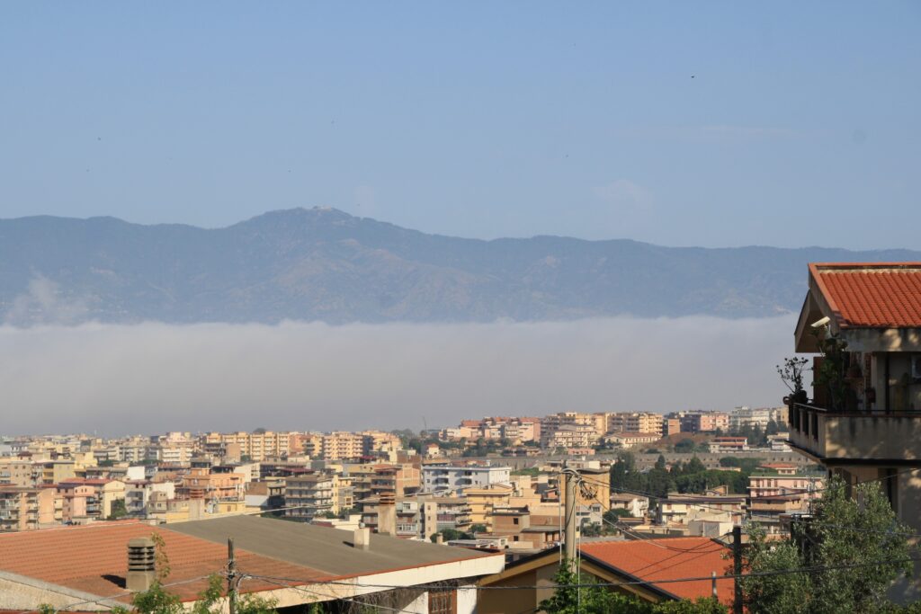 lupa di mare reggio calabria