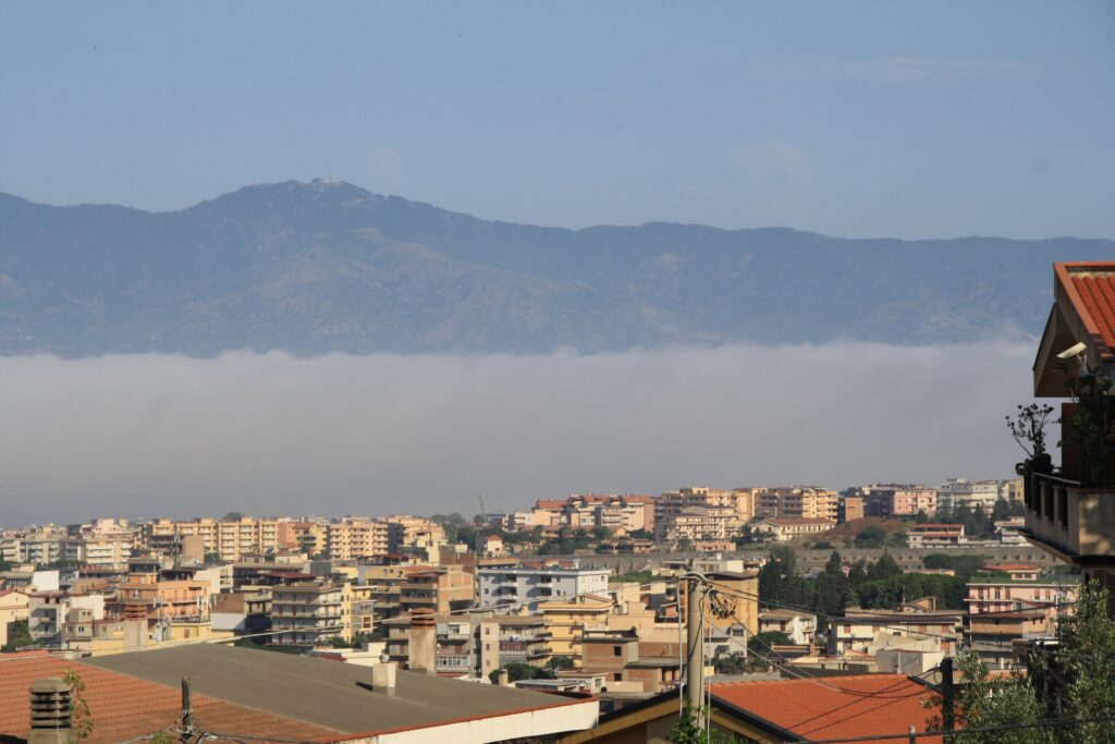 lupa di mare reggio calabria