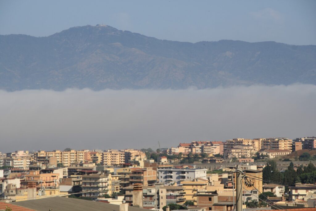 lupa di mare reggio calabria