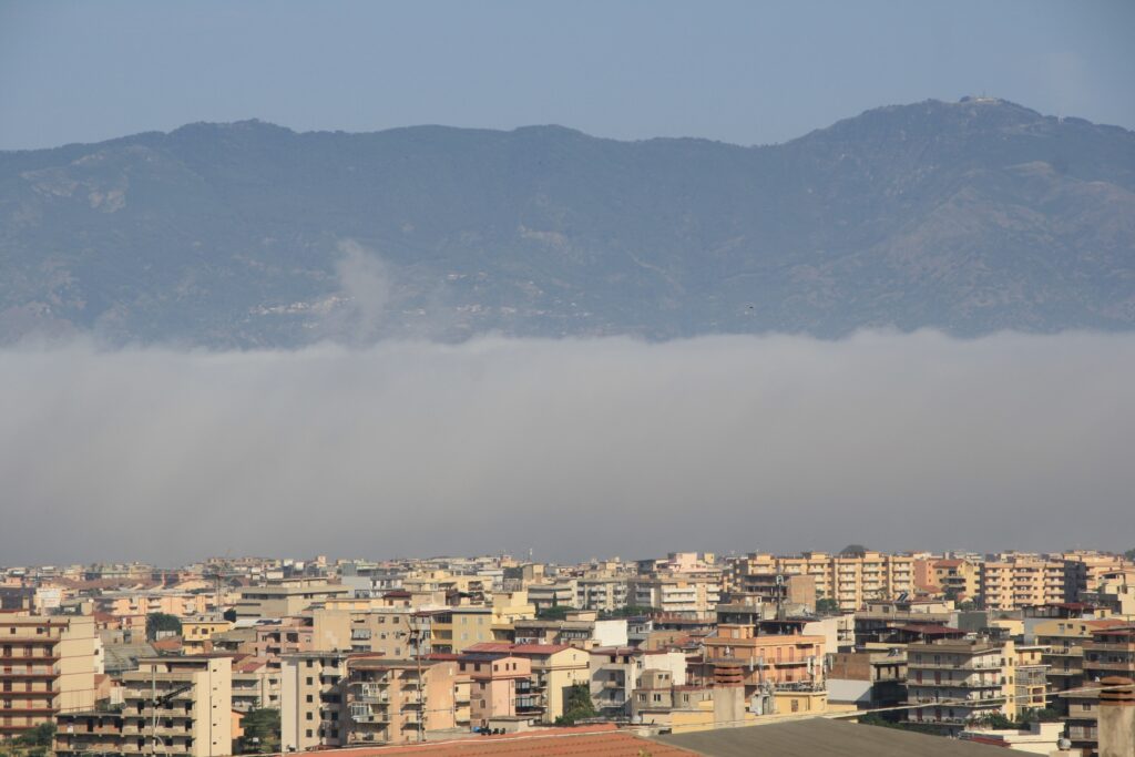 lupa di mare reggio calabria