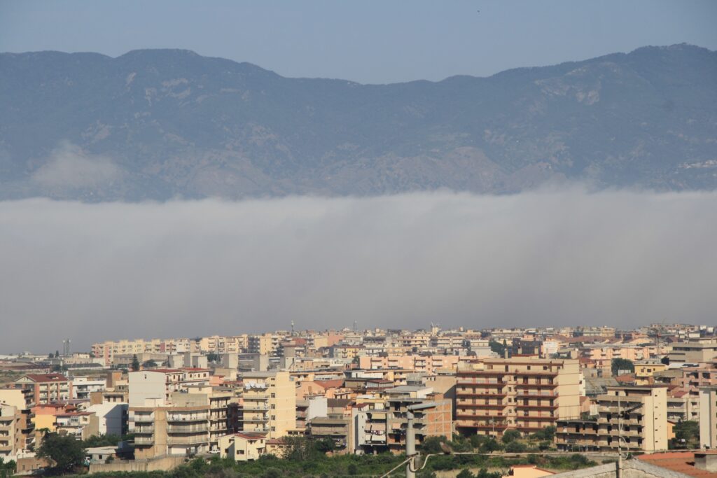lupa di mare reggio calabria
