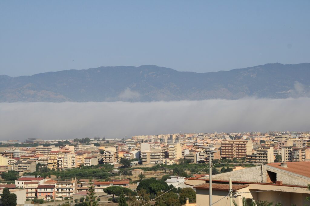 lupa di mare reggio calabria