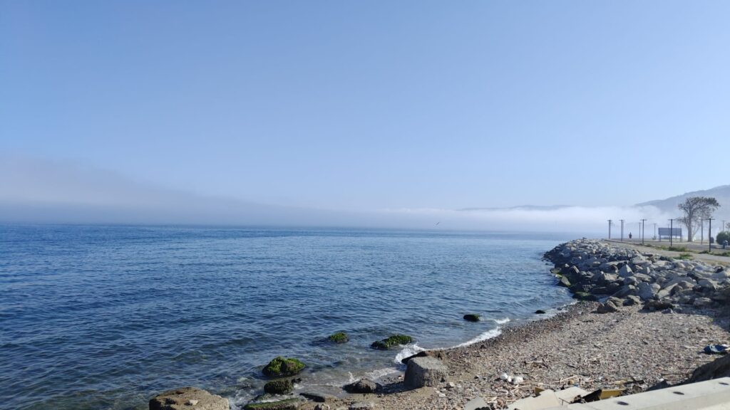 lupa di mare reggio calabria