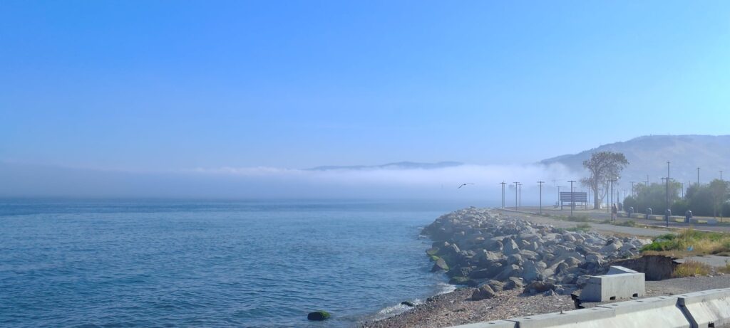 lupa di mare reggio calabria