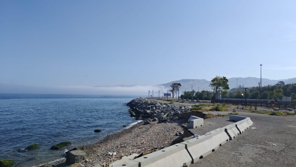 lupa di mare reggio calabria