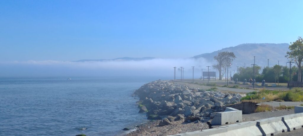 lupa di mare reggio calabria