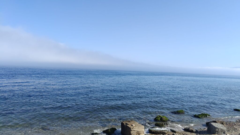 lupa di mare reggio calabria