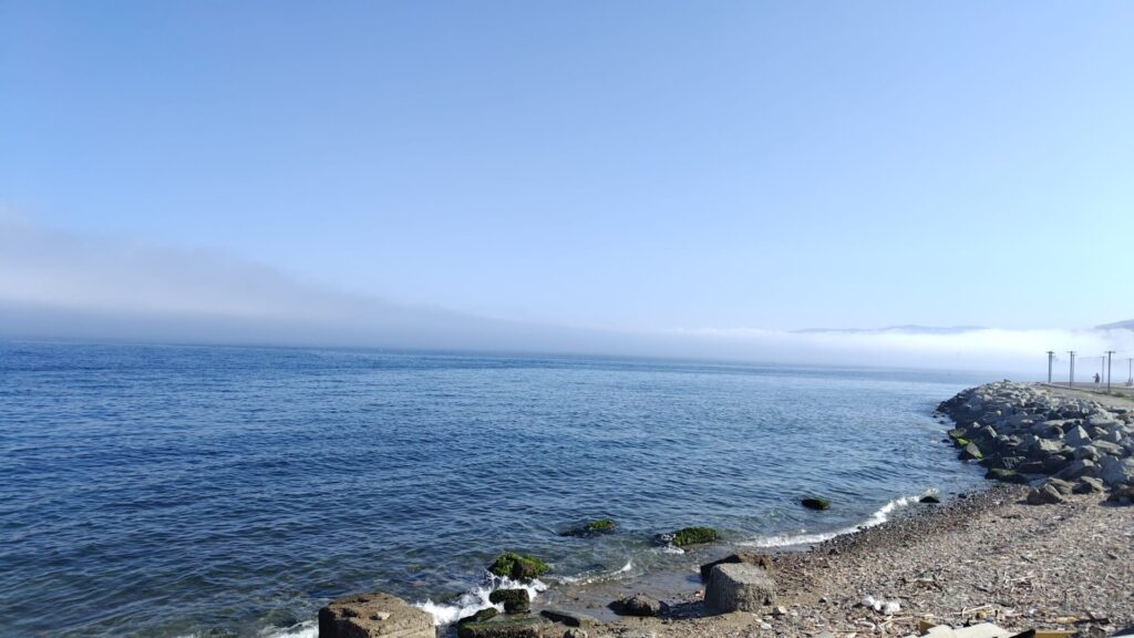 lupa di mare reggio calabria