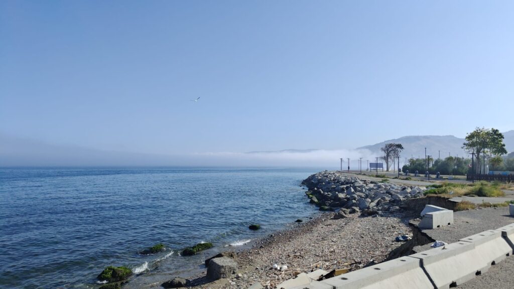 lupa di mare reggio calabria