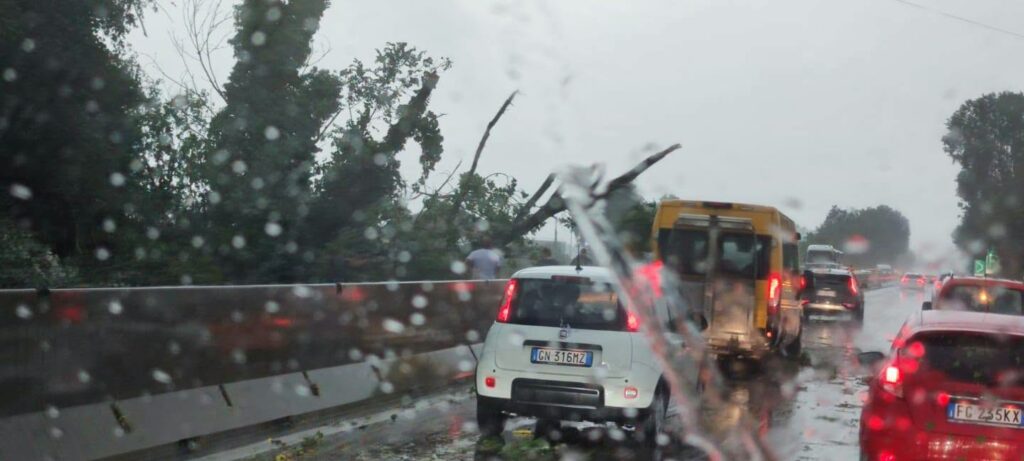 maltempo emilia romagna