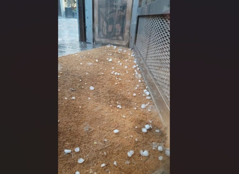 maltempo grandine bra piemonte