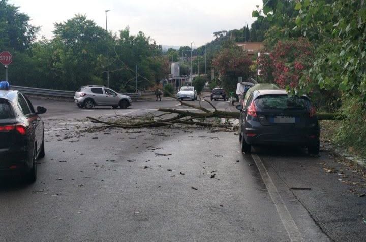 maltempo roma