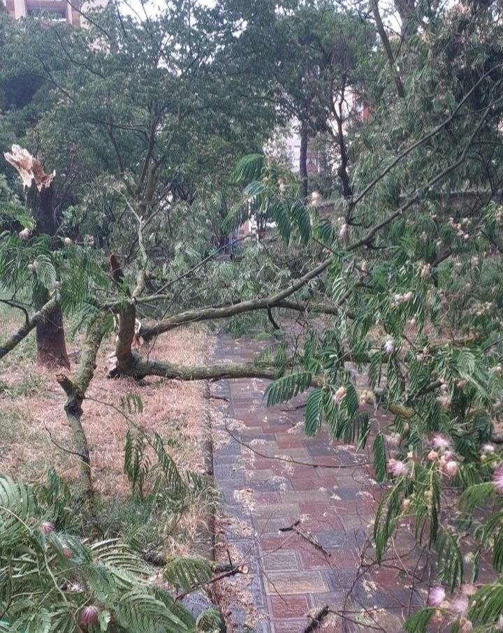 maltempo roma