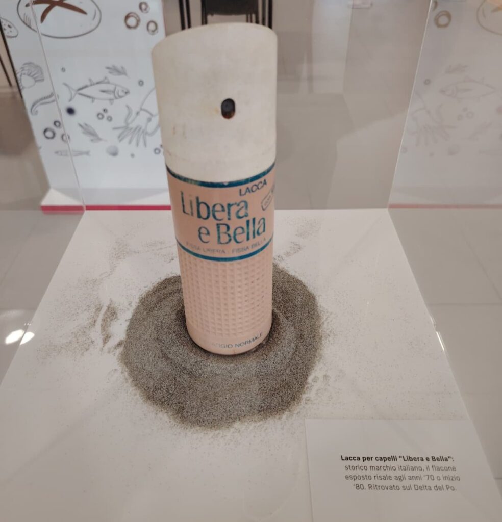 museo plastica