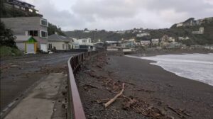 onde wellington nuova zelanda