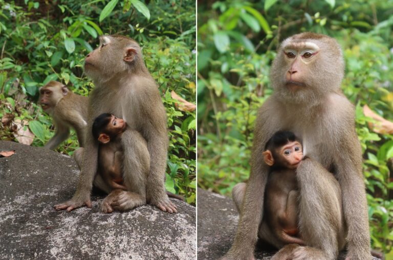 perchè parto è difficile evoluzione