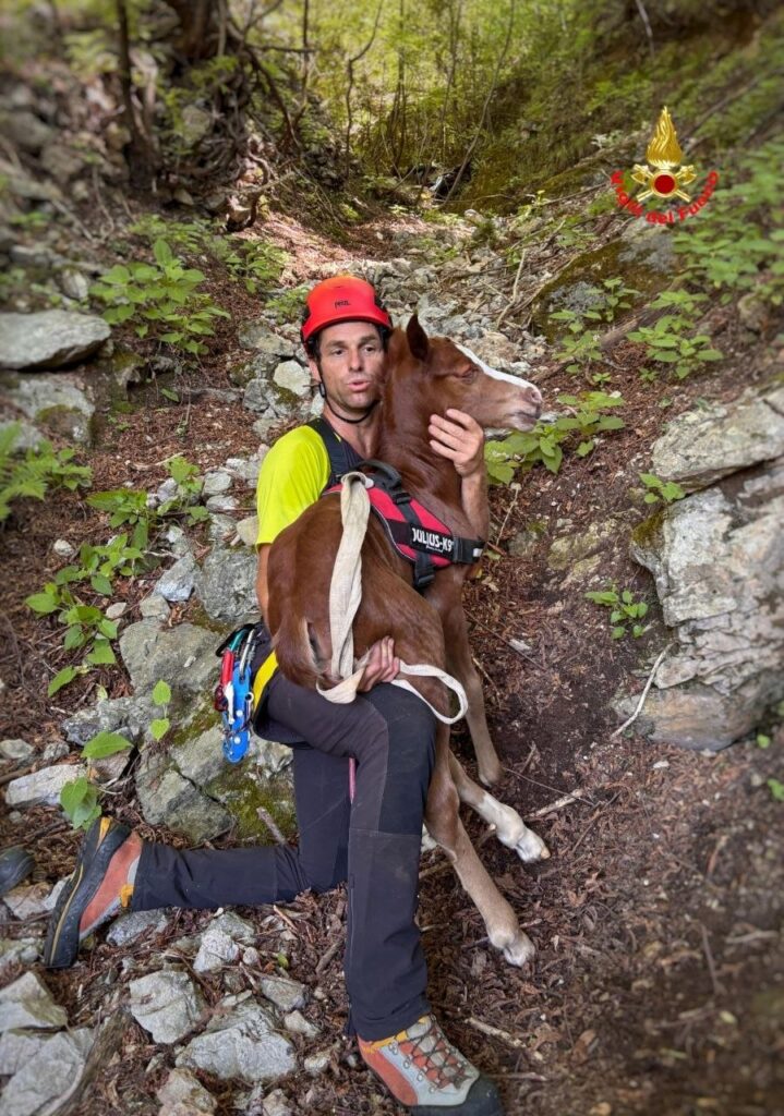puledro salvato esino lario