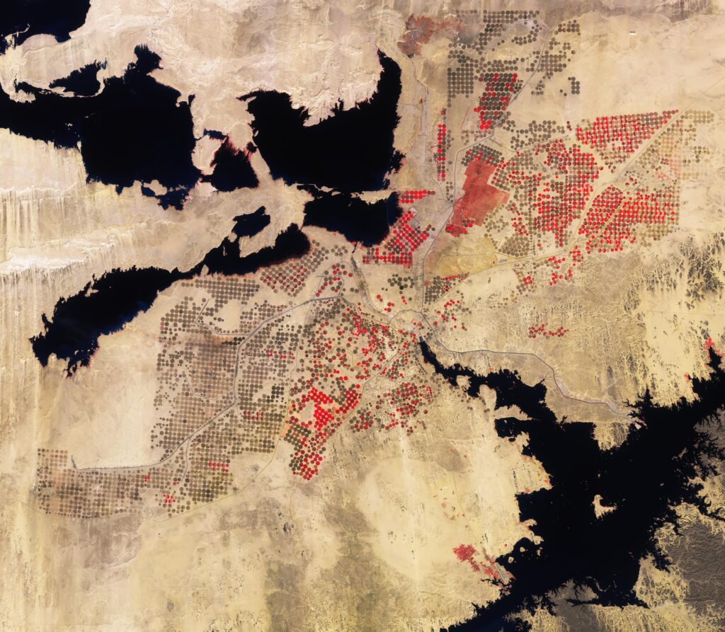 satelliti sentinel egitto deserto