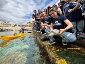 tartarughe marine plastic free