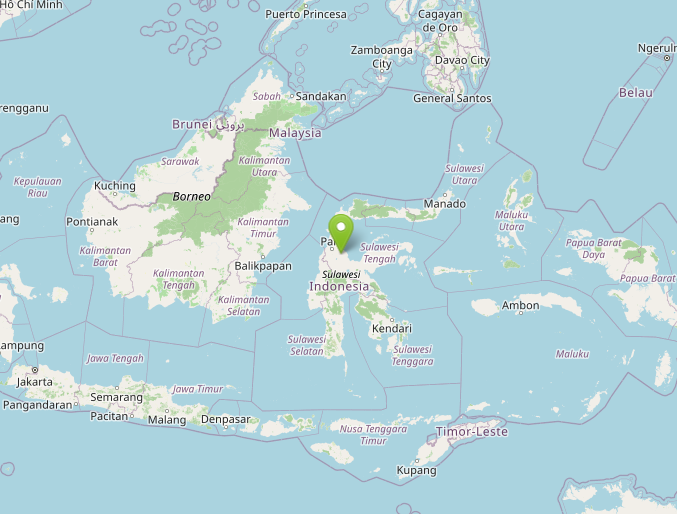 terremoto indonesia