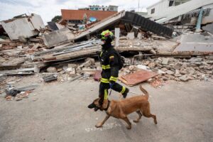 terremoto venezuela