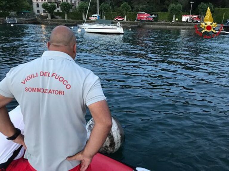 vigili fuoco sommozzatori
