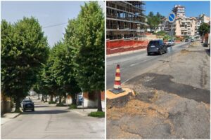 Abbattimento alberi cambiamento climatico