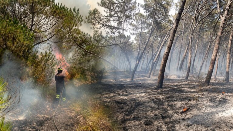 Acconia di Curinga incendio