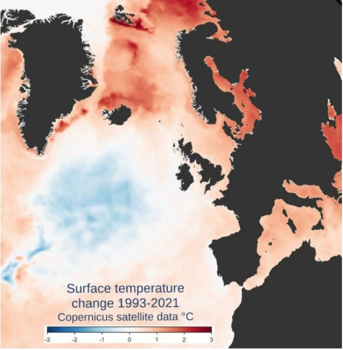 Anomalie SST Nord Atlantico
