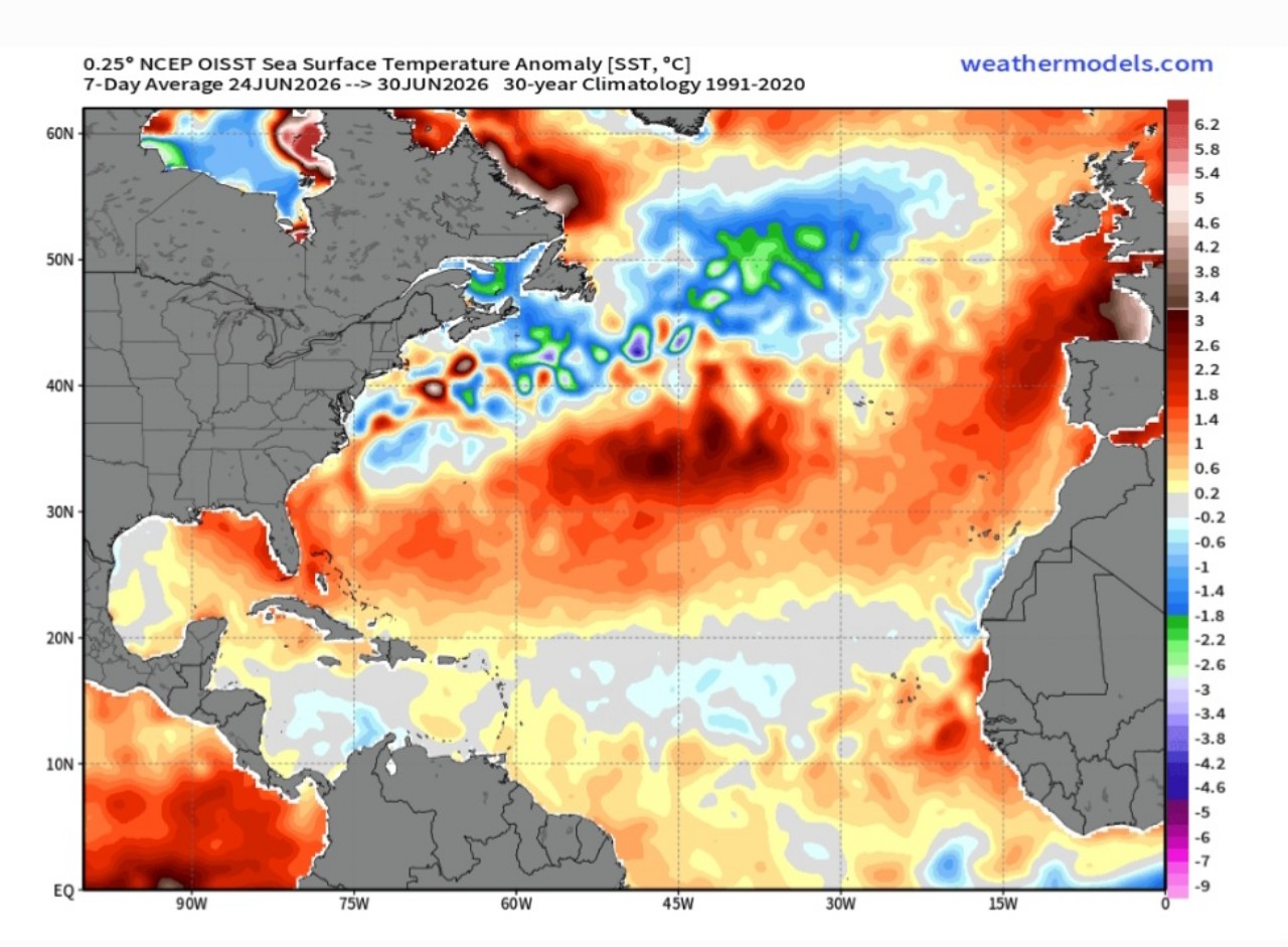 Anomalie SST oceano Atlantico
