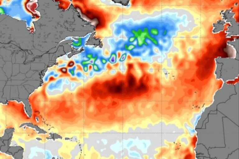 Cold blob caldo estremo