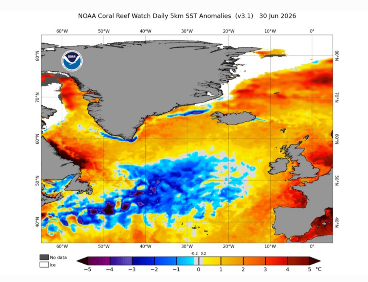 Cold blob Nord Atlantico