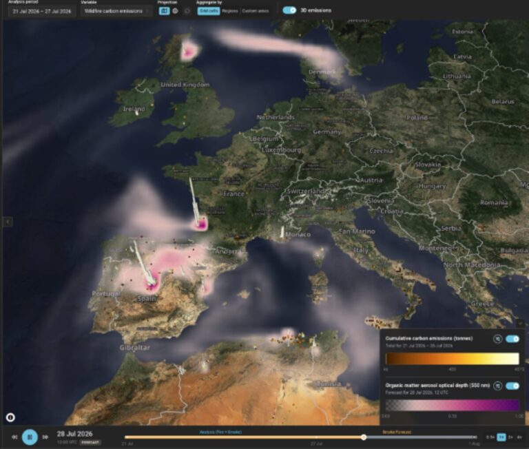 Copernicus incendi