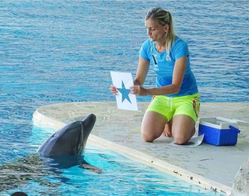 Delfini