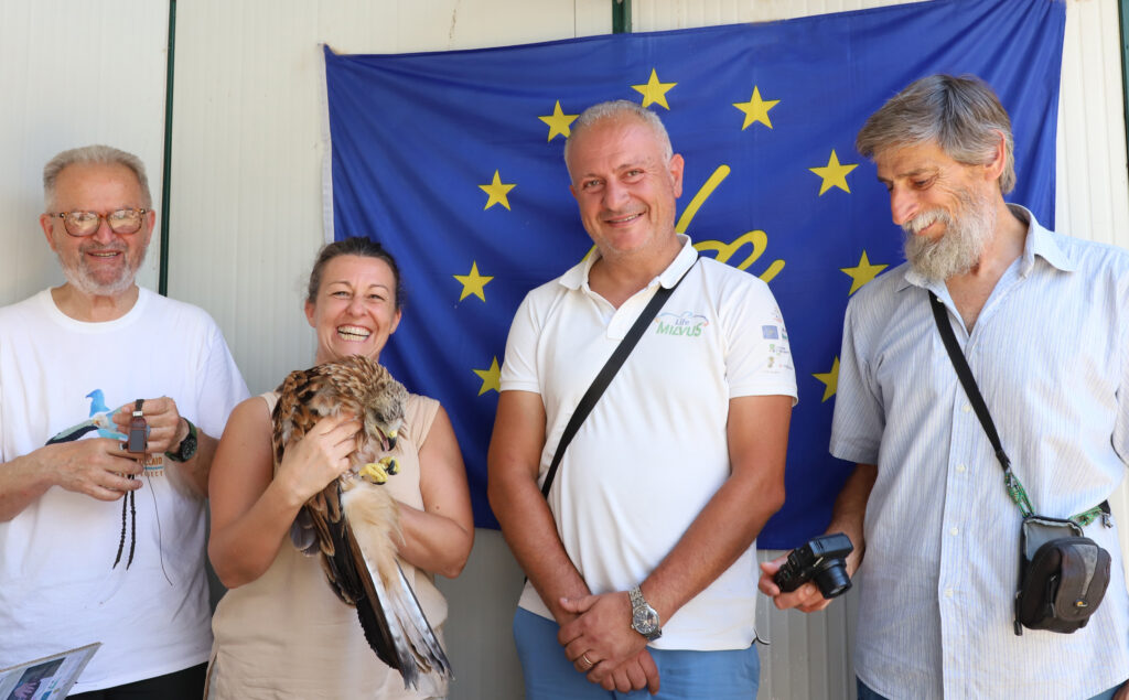 Gruppo visita monitoraggio