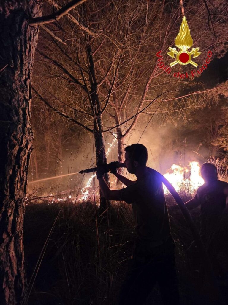 Incendi Calabria