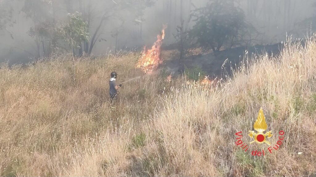 Incendi Calabria