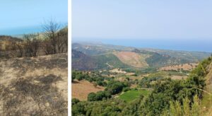 Incendi Cirò
