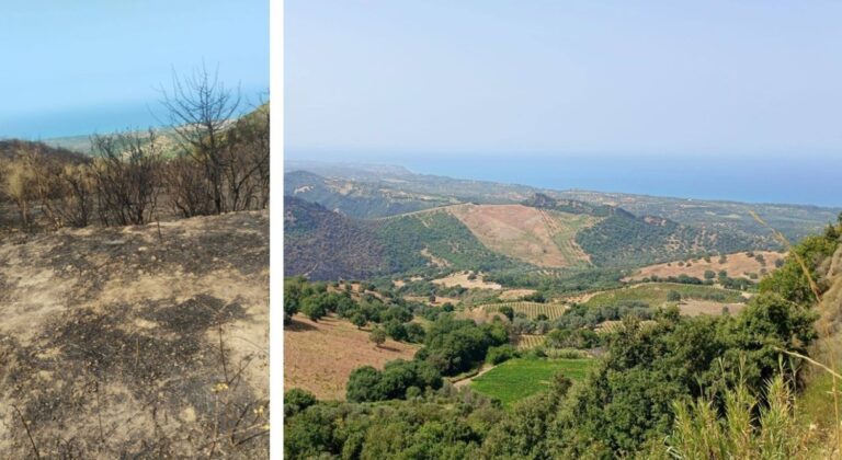 Incendi Cirò