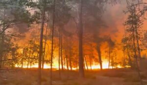Incendi Francia