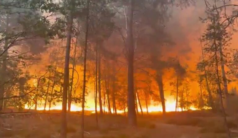 Incendi Francia