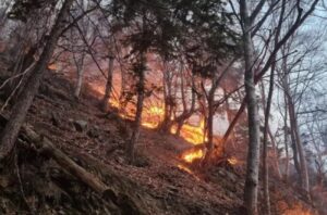 Incendi Piemonte
