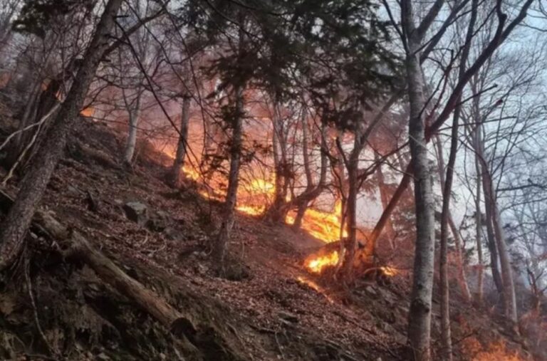 Incendi Piemonte