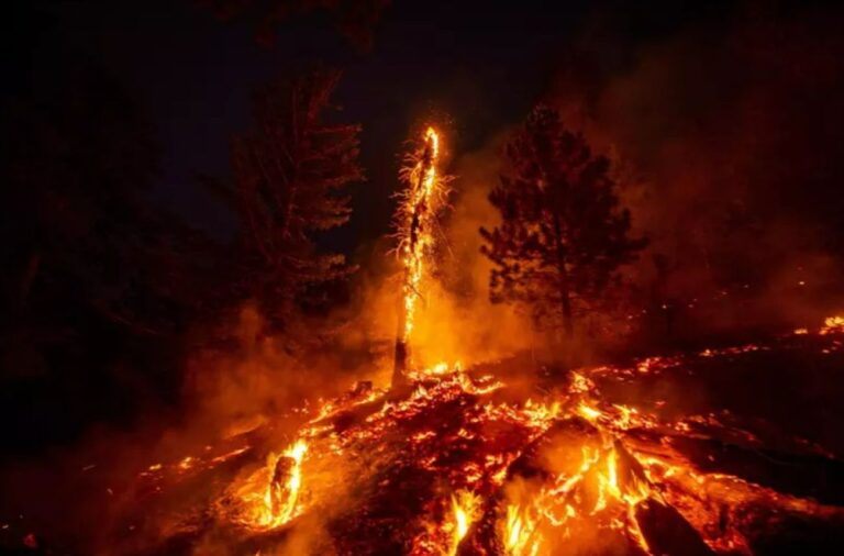 Incendi Piemonte