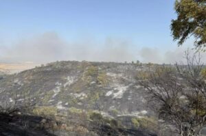 Incendi Sardegna