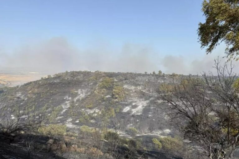 Incendi Sardegna