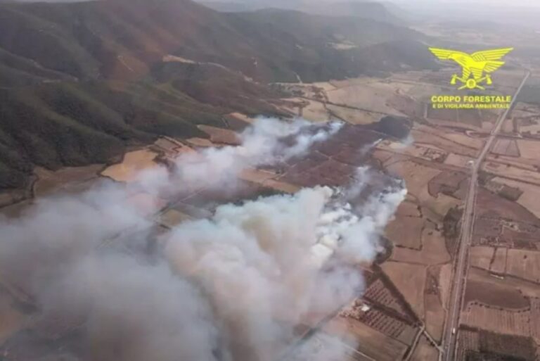 Incendi Sardegna