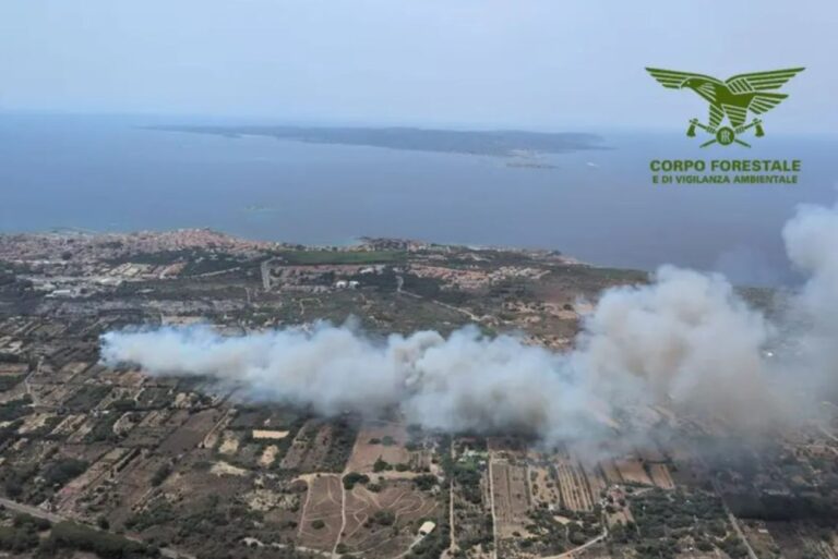 Incendi Sardegna