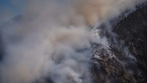 Incendio Calabria